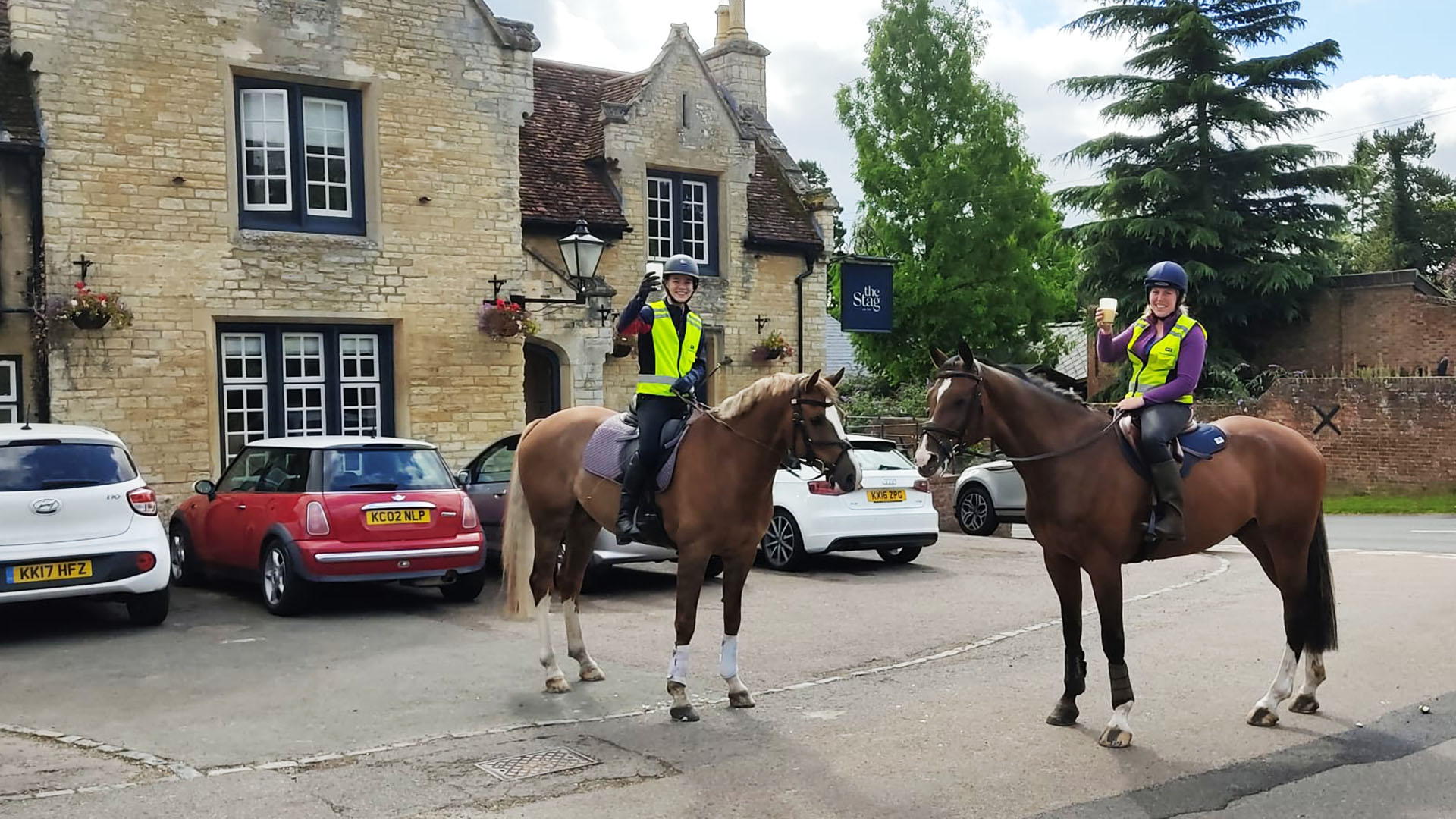 Horses outside the stag