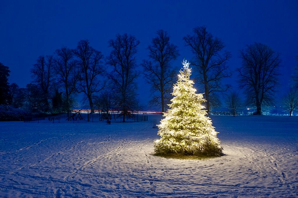 Mentmore Christmas